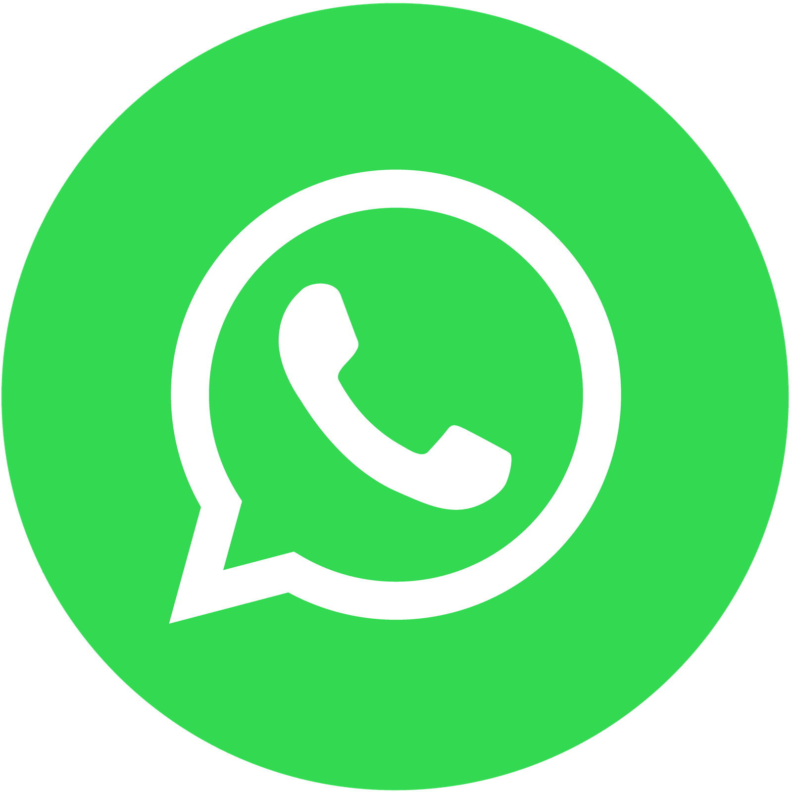 Chat on WhatsApp
